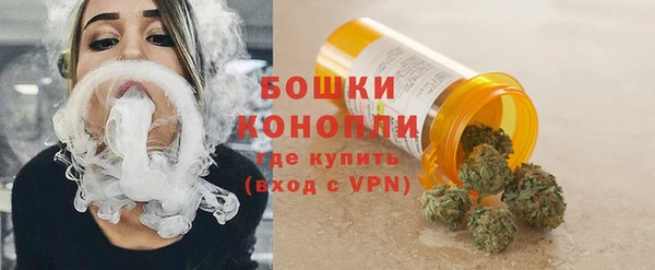 ешки Белокуриха