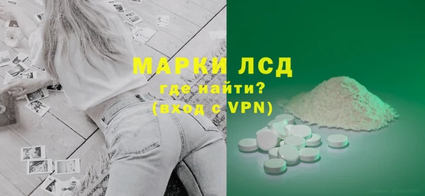 сатива Беломорск