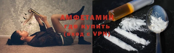 сатива Беломорск