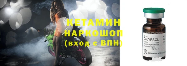 сатива Беломорск