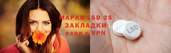 сатива Беломорск