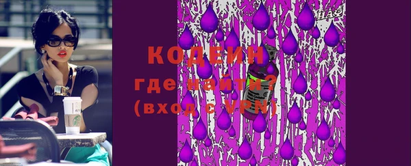 сатива Беломорск
