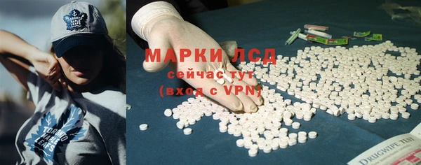 сатива Беломорск