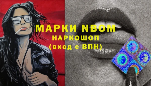 ешки Белокуриха