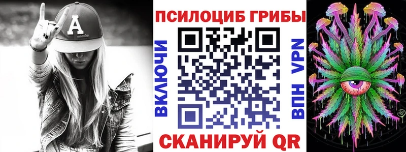 KRAKEN зеркало  Мглин  Галлюциногенные грибы Psilocybine cubensis 